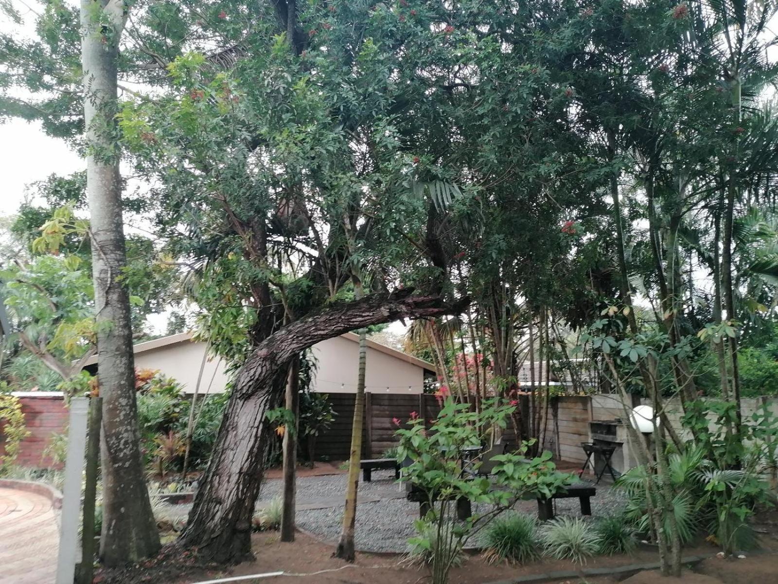 Bed and Breakfast Nqabanqaba Richards Bay Exterior foto
